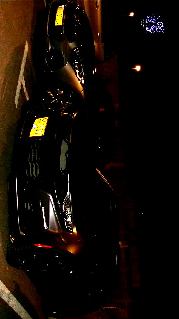 simp_for_cats_ archive video preview
