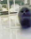 catl0verr69 Altpins Profile Picture