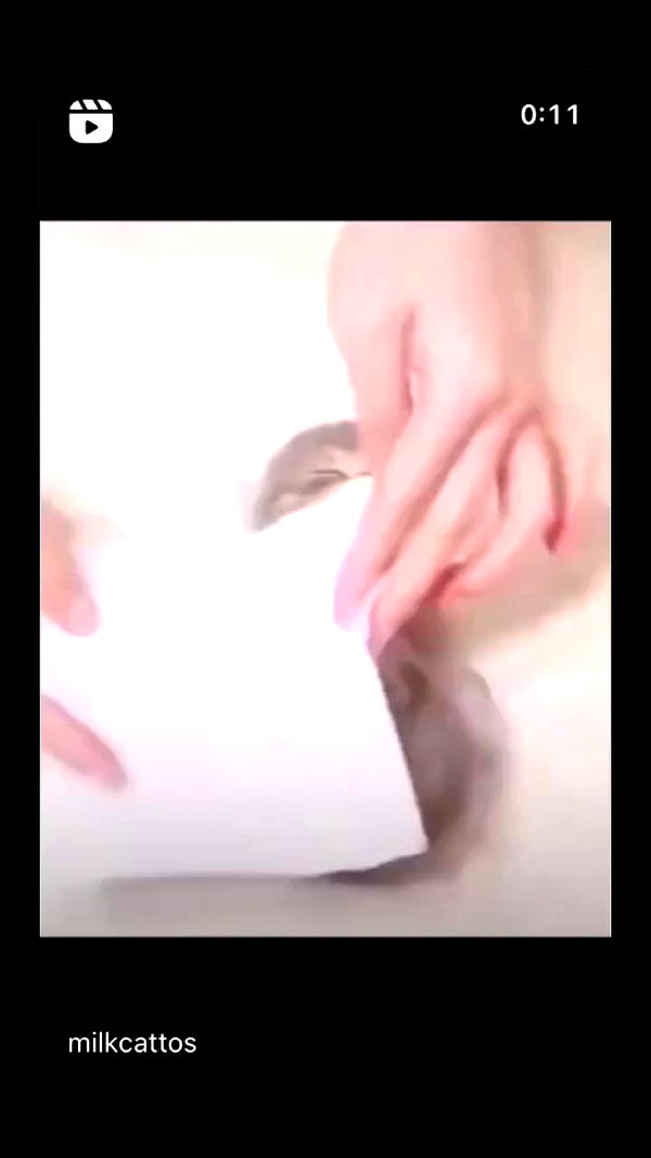 babynympho_archive archive video preview