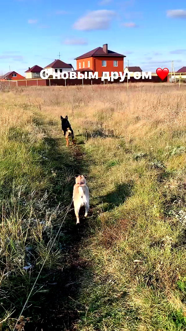 nyityam archive video preview