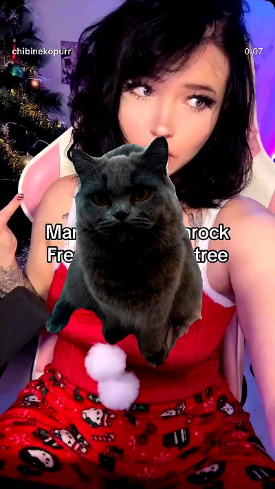 chibinekopurr chibinekopurr archive video