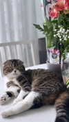 sonia_litvanchuk Altpins Profile Picture