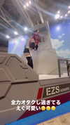 nagichan_doll Altpins Profile Picture