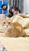 bbyul.le Altpins Profile Picture