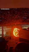 federica.piccinni Altpins Profile Picture