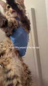 brain_eaterr Altpins Profile Picture