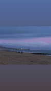 leyla.annemarie Altpins Profile Picture