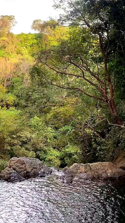 taylor.creeden taylor.creeden archive video