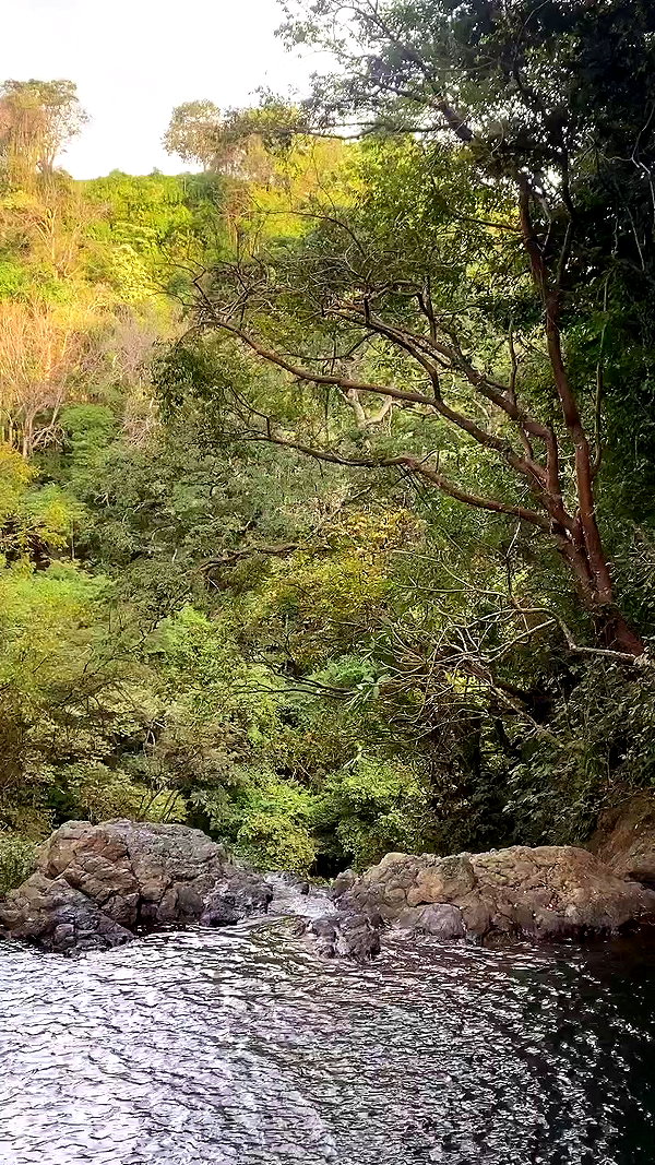 taylor.creeden archive video preview
