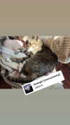 olivia.bolgerr Altpins Profile Picture