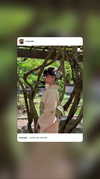 rinsrain Altpins Profile Picture
