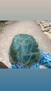 suzynorthway Altpins Profile Picture