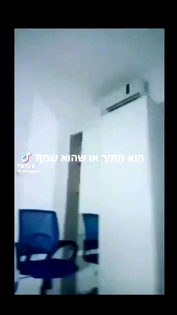 moonyyyya archive video preview