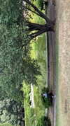 veroni22ka Altpins Profile Picture
