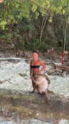 itshayleydavies Altpins Profile Picture