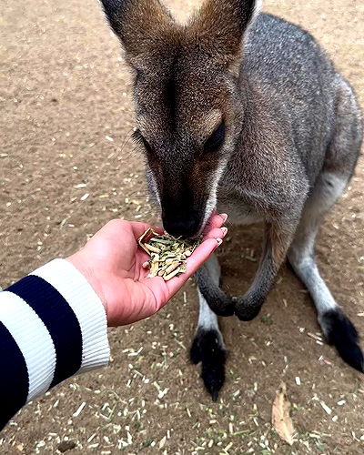 taylor.creeden taylor.creeden archive video