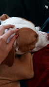 _mashachka_ Altpins Profile Picture