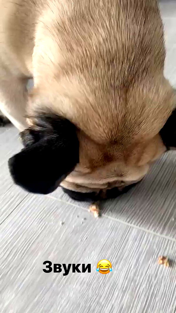 nyityam archive video preview