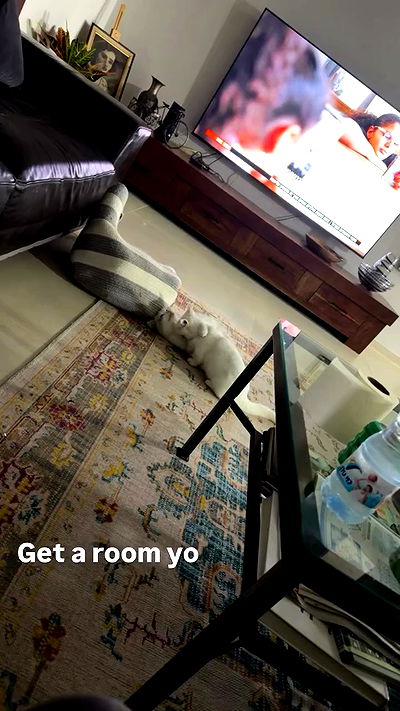 strawberryshanz strawberryshanz archive video