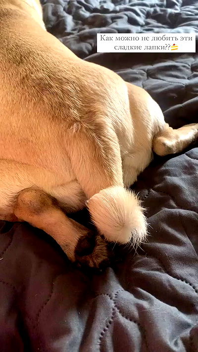 nyityam nyityam archive video