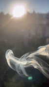 alishenyka Altpins Profile Picture
