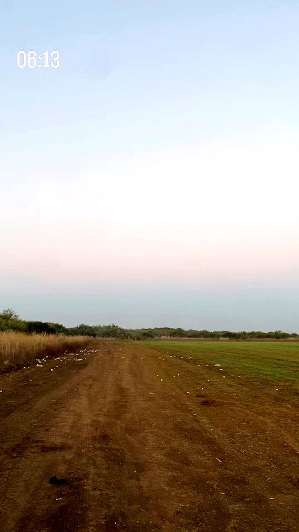 _.shelichka._ archive video preview
