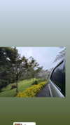 ruth_chavarri Altpins Profile Picture