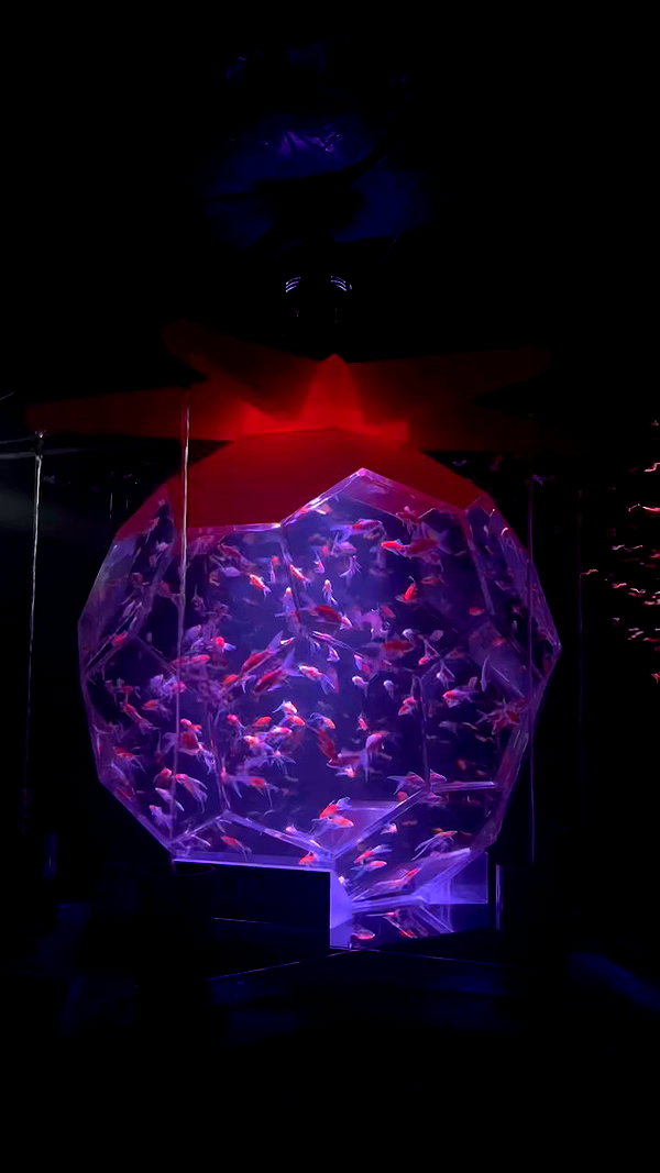 notchicore archive video preview