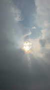 annieee__z Altpins Profile Picture