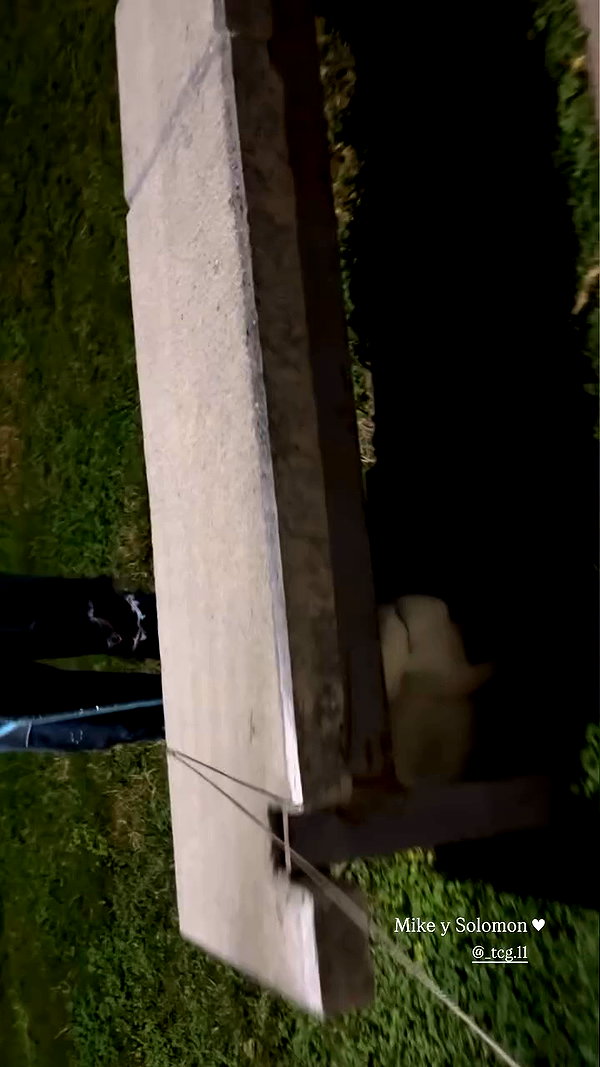 gissell_eli archive video preview