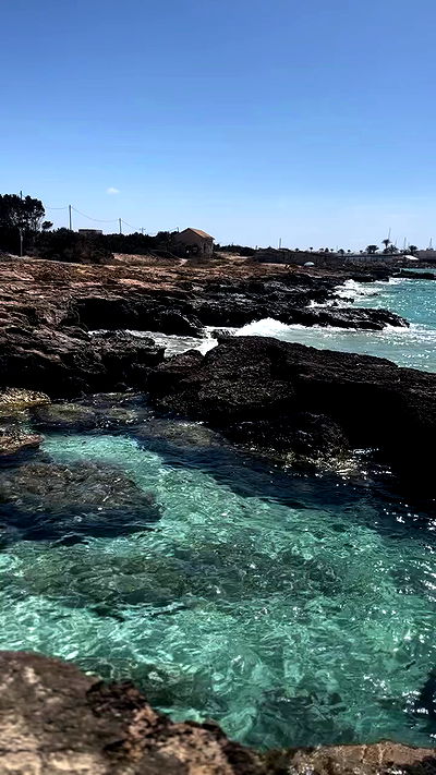 taylor.creeden taylor.creeden archive video