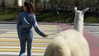 kafelnikova_a Altpins Profile Picture