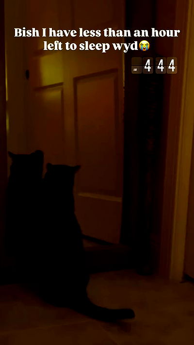 edin.karyn edin.karyn archive video