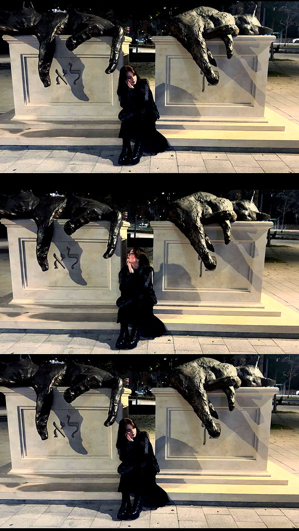 _allvi.pansk archive video preview