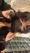 kitsunee.___ Altpins Profile Picture