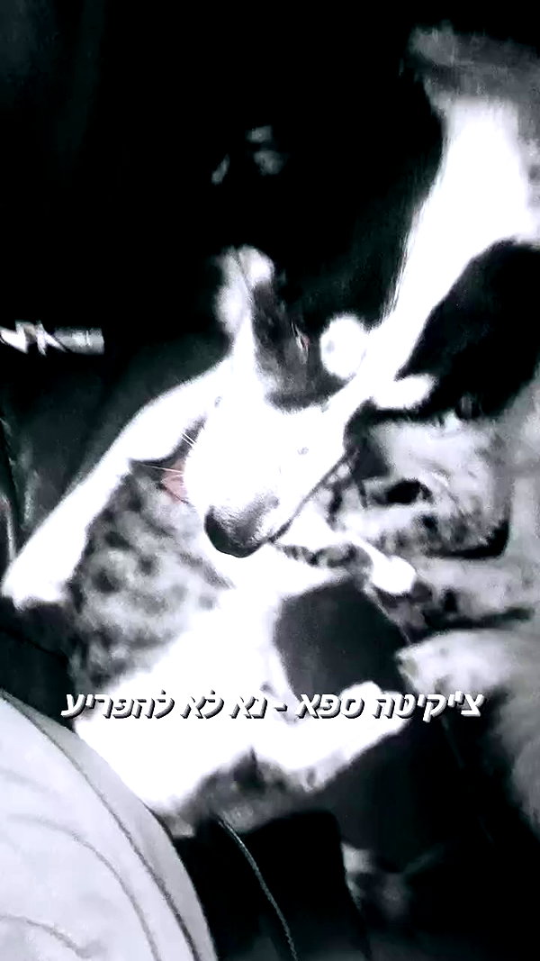 moonyyyya archive video preview