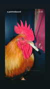 sagi.photo Altpins Profile Picture