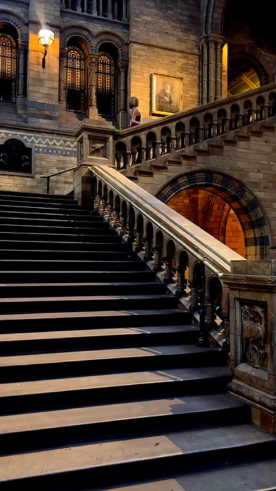 taylor.creeden taylor.creeden archive video