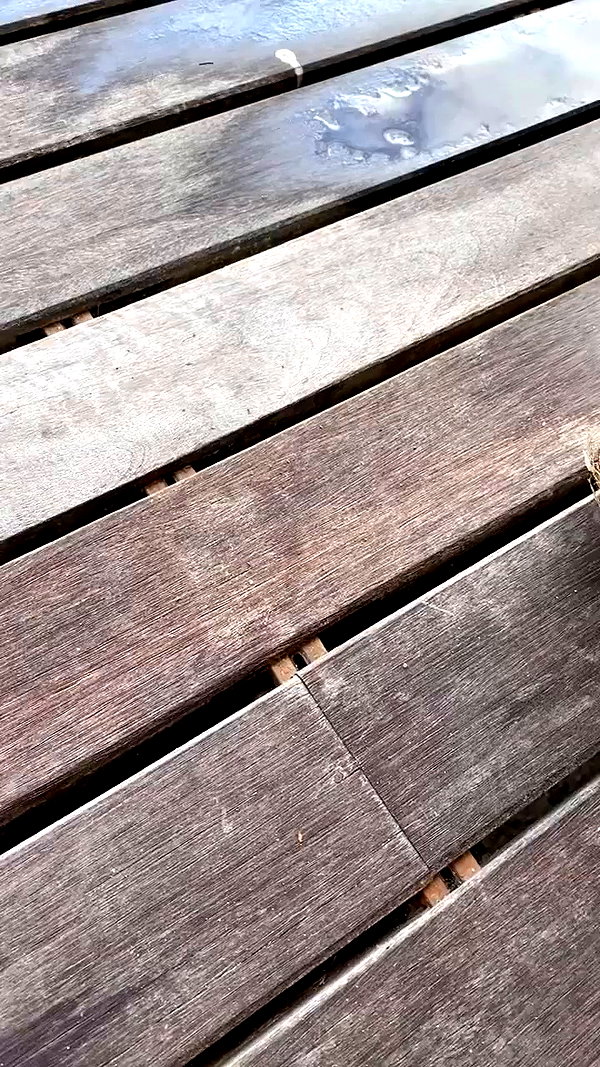 barzomer archive video preview