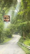 lyra.car Altpins Profile Picture