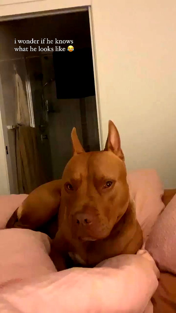 olivia.mathers archive video preview