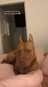 olivia.mathers Altpins Profile Picture