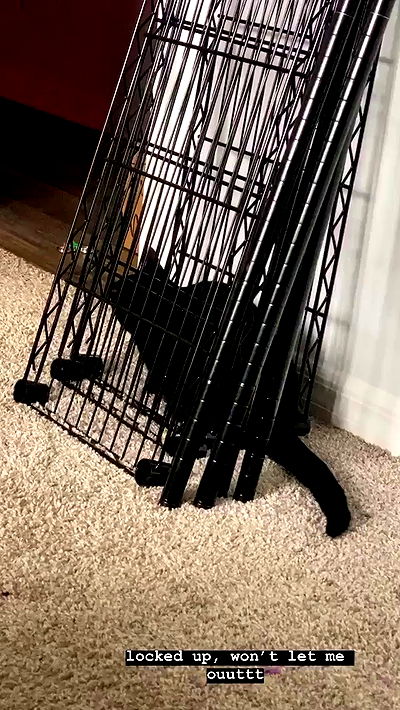 suikomuu suikomuu archive video