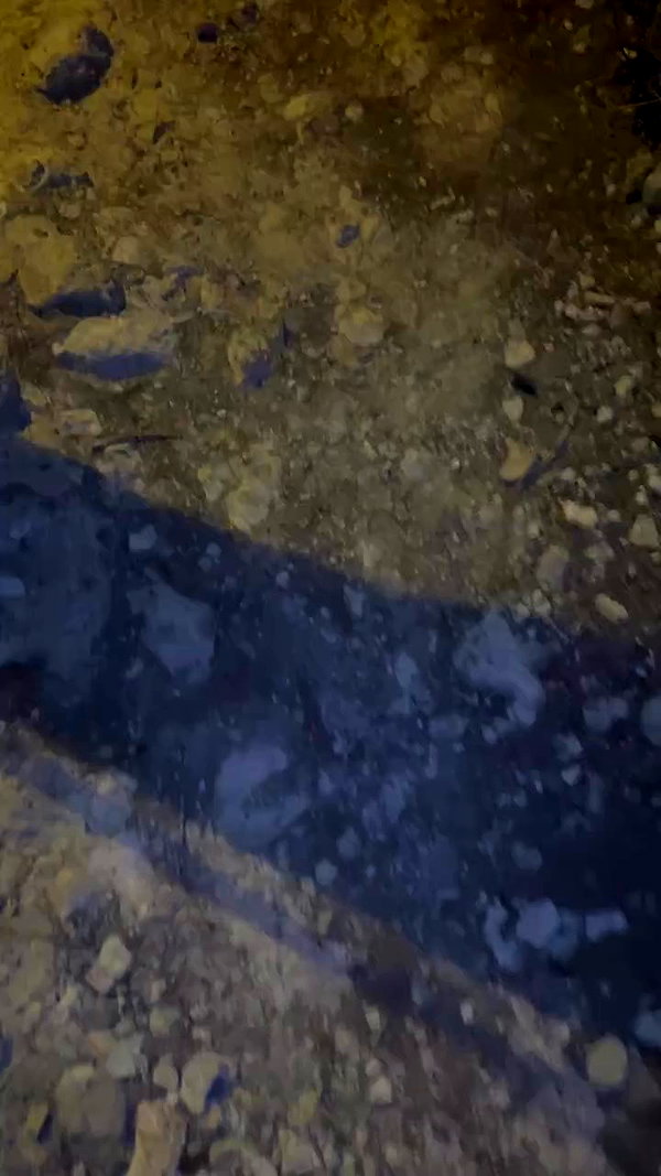 gotylka archive video preview