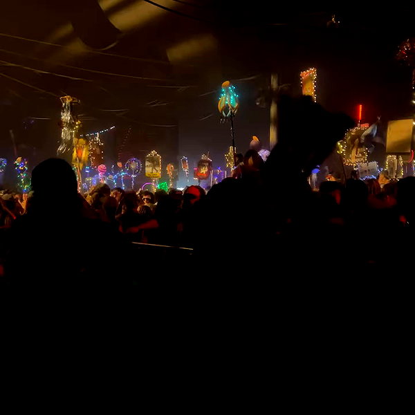 brontesheppeard archive video preview
