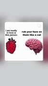 _ann.kim_ Altpins Profile Picture