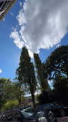 ruth_chavarri Altpins Profile Picture