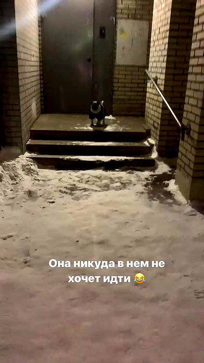 nyityam nyityam archive video