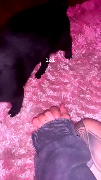 suikomuu suikomuu archive video