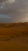 mishel_d_ Altpins Profile Picture
